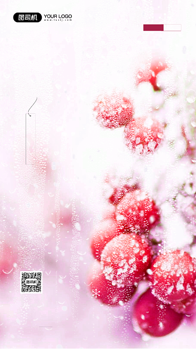 冬至节气简约摄影图宣传手机海报背景