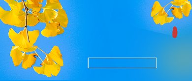 立秋节气秋天银杏叶实景公众号首图背景