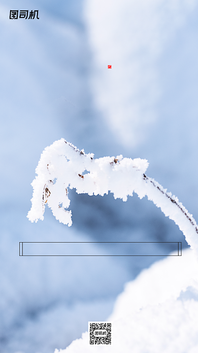 小雪节气摄影图简约清新手机海报背景
