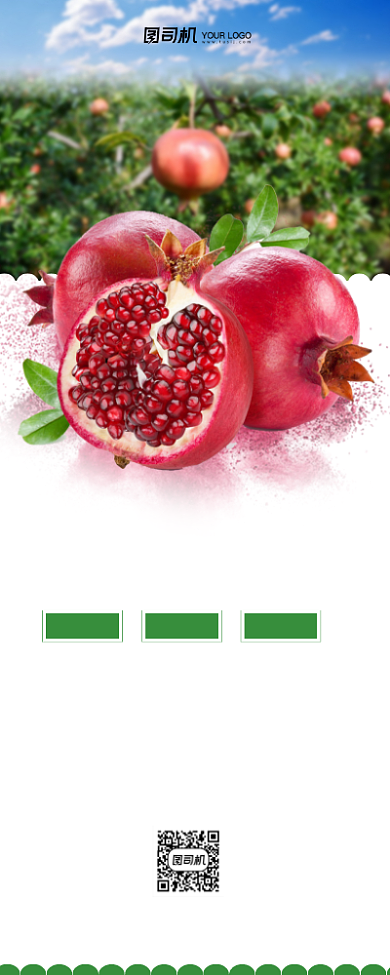 新鲜石榴熟了简约清新易拉宝背景