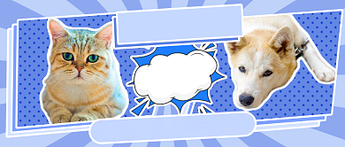 猫狗对比话题新媒体首图背景