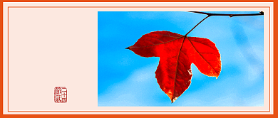 秋分节气简约公众号首图背景