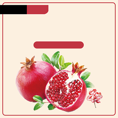 美味石榴水果生鲜电商直通车背景