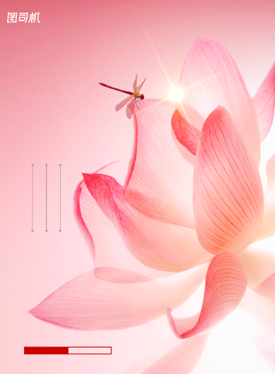 大暑荷花摄影图节气海报背景