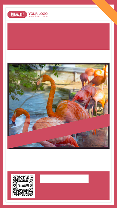 动物园周末游摄影图手机海报背景