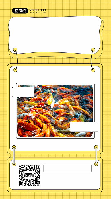 锦鲤观赏鱼宣传摄影图手机海报背景