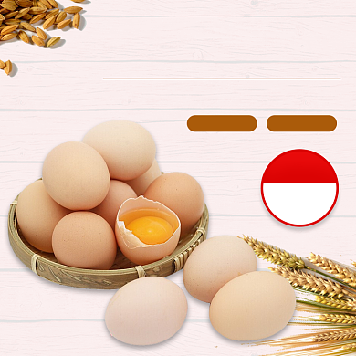 农家土鸡蛋食品主图背景