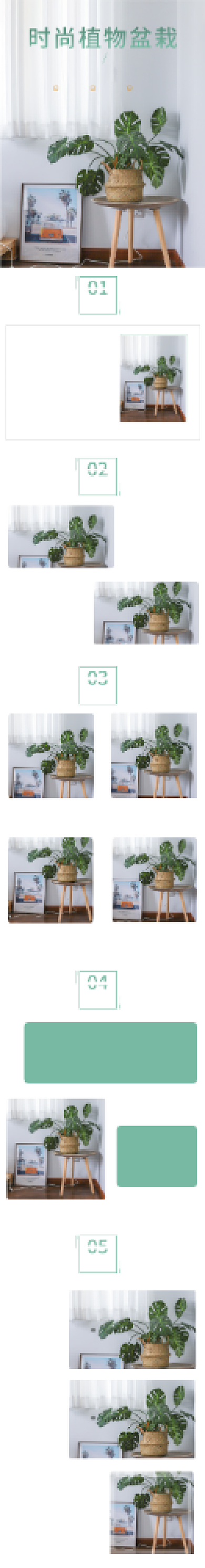 绿色简约风盆栽绿植电商详情页模板背景
