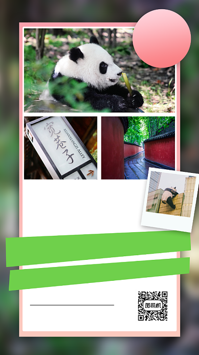 毕业旅行成都自由行活动特惠手机海报背景