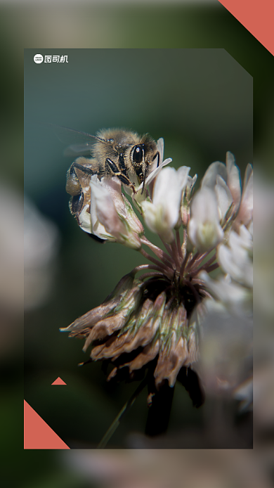 敬业通用时尚宣传海报背景