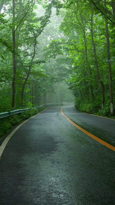马路雾气道路绿荫清爽手机壁纸背景