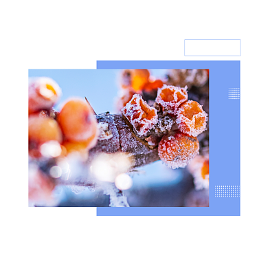 文艺创意24节气之立冬冬天方形配图背景