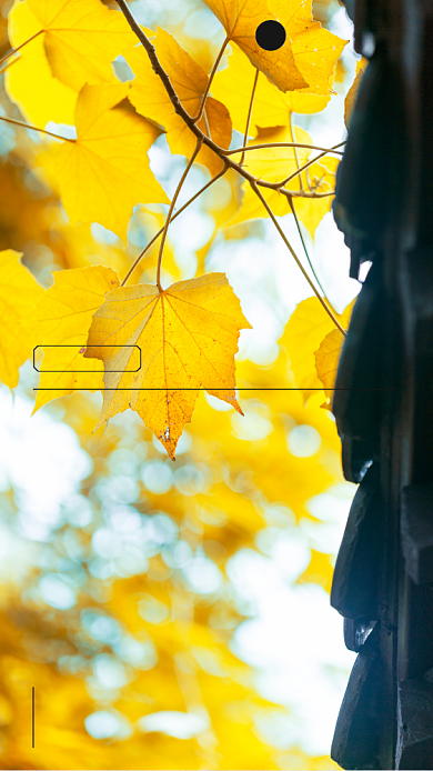 秋叶屋檐摄影日签手机海报背景