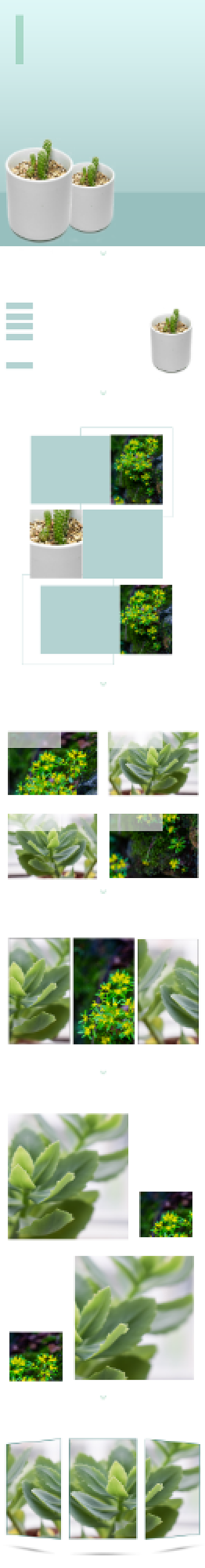 绿色简约大气盆栽多肉植物详情页背景