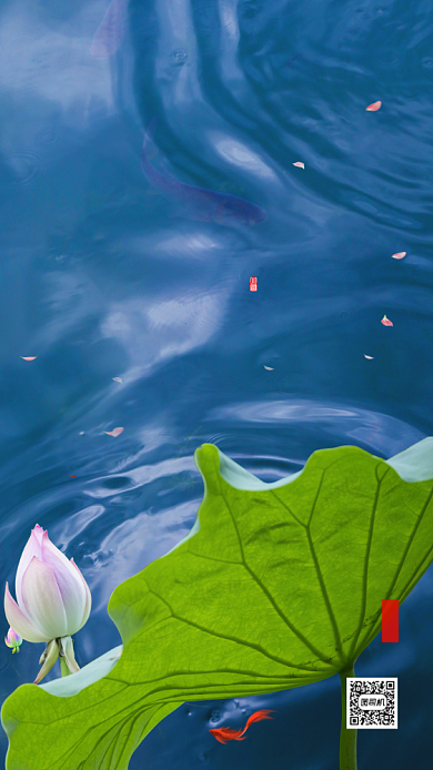 时尚简约小暑节气海报背景