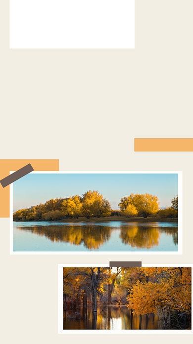 黄色简约塔里木胡杨林风景旅游文章配图背景