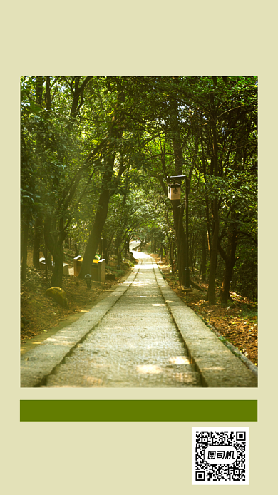 简约写实森林早安日签背景