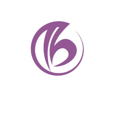 大气时尚b字母电商微商logoVI背景