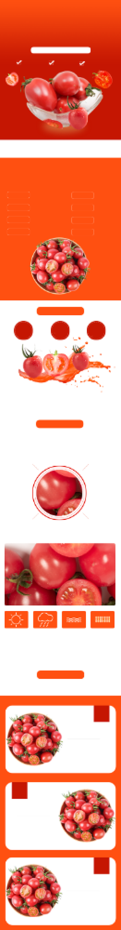 小番茄详情页时尚简约红色新鲜营养背景