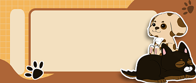 卡通拼色宠物主题公众号封面卡通背景