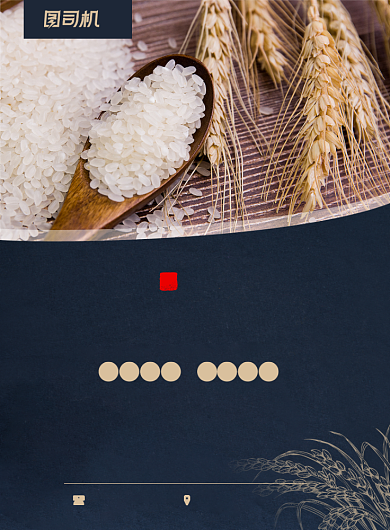 大米有机农作物宣传印刷海报背景