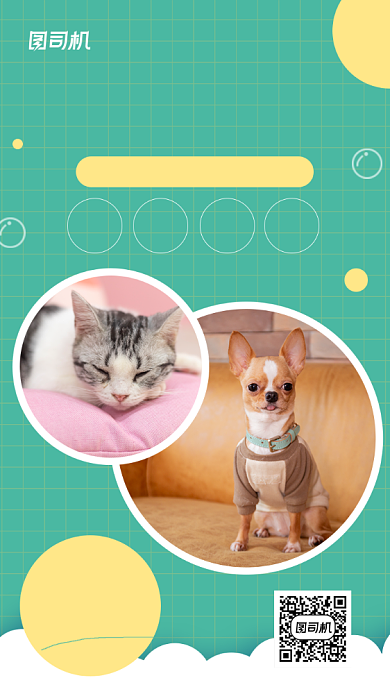 宠物寄养宠物美容绿色可爱简约手机海报背景