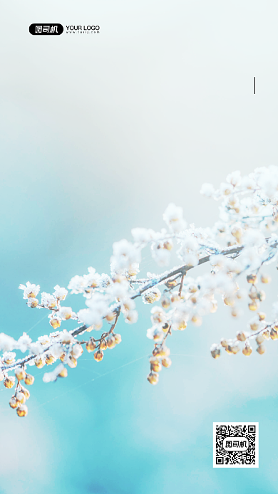 小寒节气24节气写实手机海报背景
