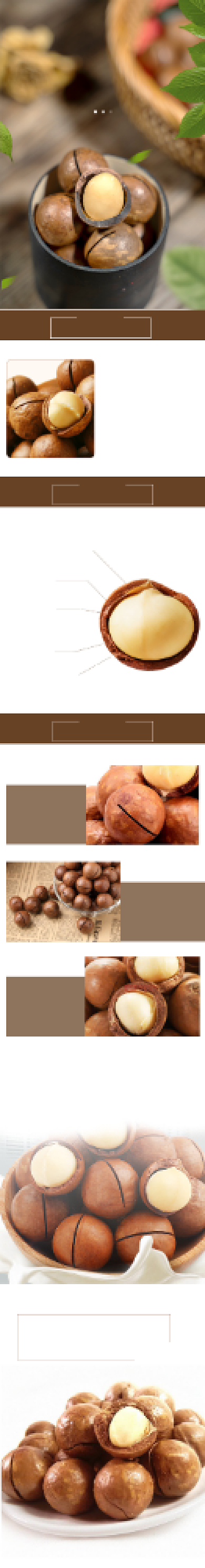 美味零食吃货夏威夷果坚果详情页背景