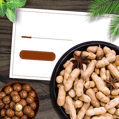 话术夏威夷果坚果干果主图直通车背景