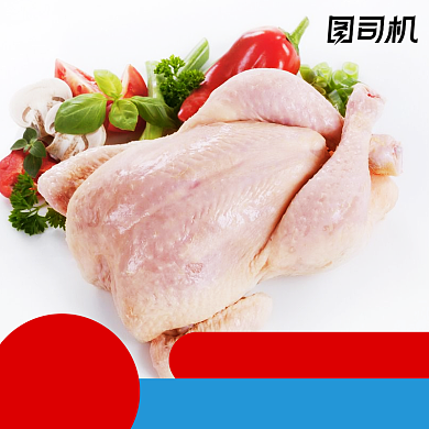 简约农家散养土鸡乌鸡鸡肉电商主图直通车背景