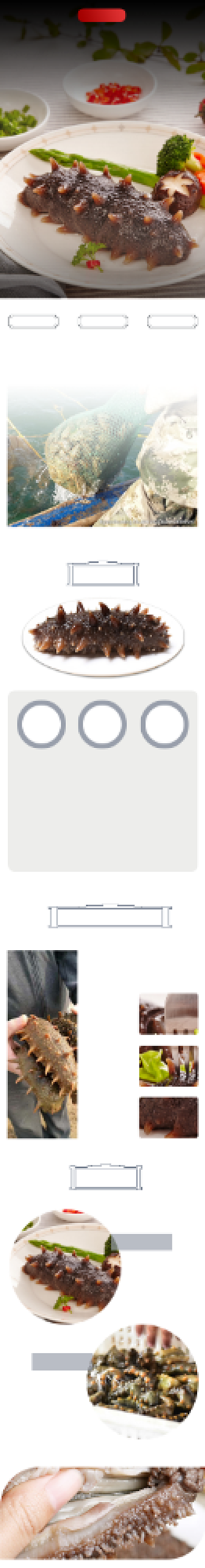 海参海鲜详情页电商时尚简约大气营养背景