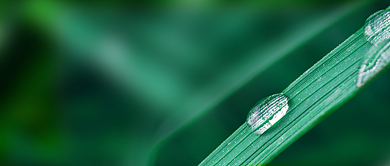 白露节气简约公众号首图背景