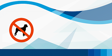 禁止宠物入内蓝色卡通横版温馨提示卡背景