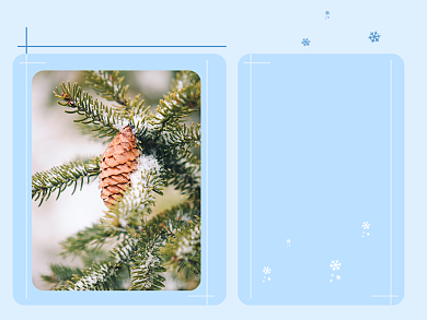 冬天下雪了雪后松树松果横版配图背景