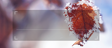 你好2021元旦新年祝福语公众号首图背景