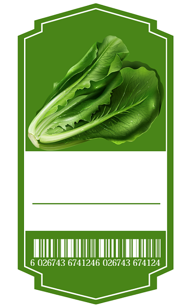 新鲜蔬菜绿色食品简约风标签不干胶背景