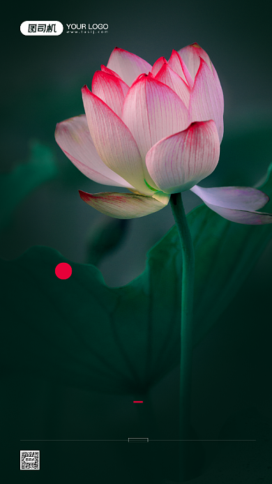 廉洁为公简约摄影图公益宣传手机海报背景