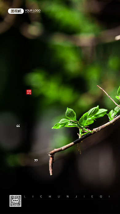 立春节气树叶摄影图宣传手机海报背景
