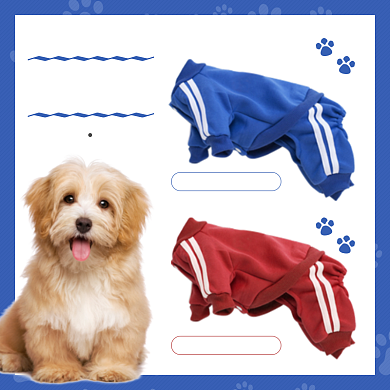 萌宠宠物用品衣服饰颜色选择展示可爱主图背景