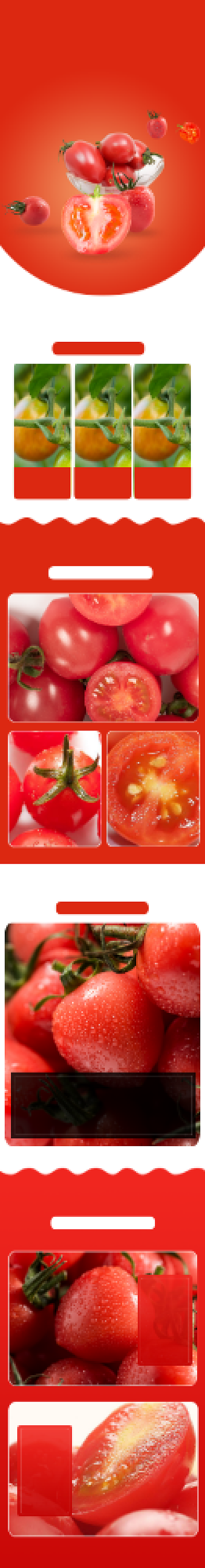 生鲜蔬菜番茄西红柿详情页背景