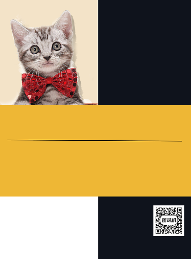 新店开业宠物店开业促销宣传印刷海报背景