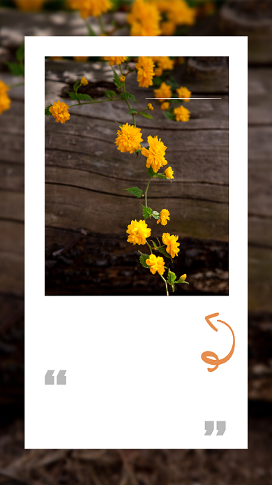 简约大气日签月签黄花文艺清新海报背景