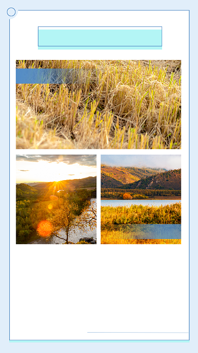 简约秋天落叶竖版配图背景