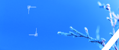 小寒二十四节气雪景公众号首图背景