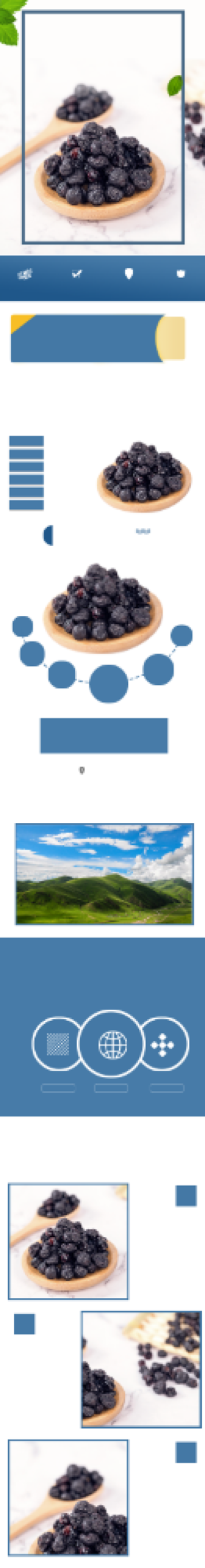 蓝莓干蓝莓水果果脯零食详情页背景