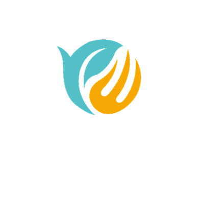 小鸟教育在线辅导作业LOGO背景