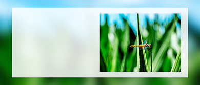 你好八月简约实景摄影图公众号首图背景