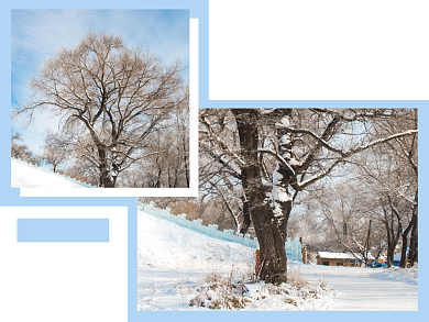 十一月滴答滴横版配图背景