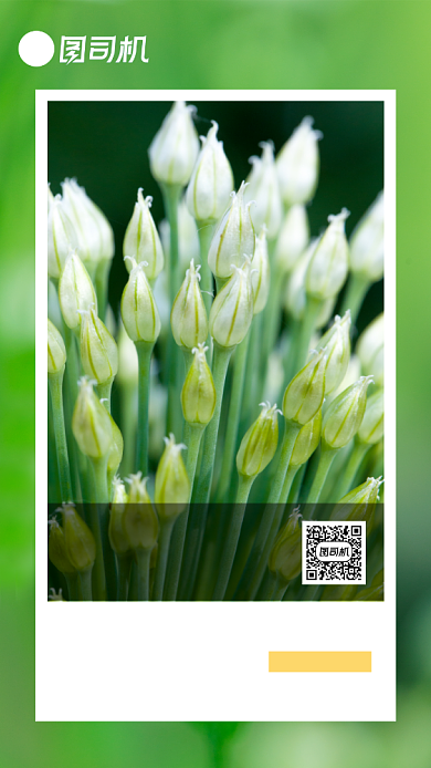 早安你好小清新早安心语日签月签背景