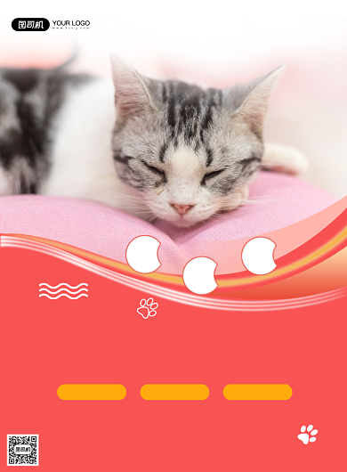 宠物猫实景摄影护理机构印刷海报背景